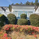 남해모노펜션 | 남해펜션 힐링이었던 남해모노펜션