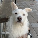 물금센트럴치과의원 이미지