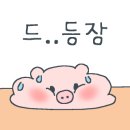 흰바위로L 네이버블로그