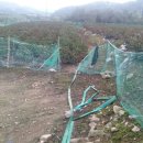 산들염소농장 이미지