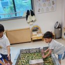 새들반)9월 1주 공룡놀이이야기🦖 이미지