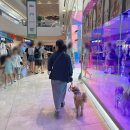 이룸독트레이닝 이미지