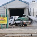 화성양돈 이미지