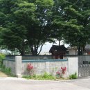 상서대 Daum카페