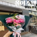 [올이즈웰] 대구 꽃집 대구 꽃배달 월성동 꽃집 추천 &#34;올이즈웰&#34;