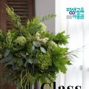 원격대학형태 | 평생교육이용권 신청 시작! 카드 신청방법과 사용처 안내 (원스플라워 디자인학원 포항꽃집 원스플레르