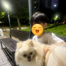 노랑강정김천율곡점 이미지