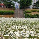 도농체육공원 네이버블로그