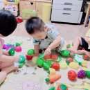 성동어린이집 이미지