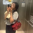 효로인디아트홀 소극장 | 태양의 서커스/이디스워튼 여름/반핀/효로인다아트홀 소극장/노이식탁/핸즈커피 앞산점/디아크 문화관/