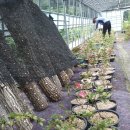 미희농장 이미지