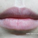 스테이핏 이미지