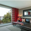 스위트펫 이미지