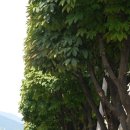 봉무경로당 이미지