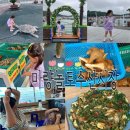 강진 마량놀토수산시장 만족스러운 내돈내산 후기(w.전복황제전, 삐틀이)