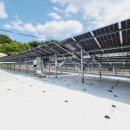 넝쿨 태양광발전소 이미지