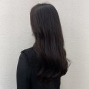Artist서우