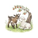 양과 염소 사이에서 배우는 삶 이미지