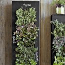 Vertical Chalkboard Wall Garden Planter - 벽걸이식 화분 이미지