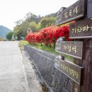 섬진주유소 이미지