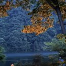 스테이 원평호 이미지