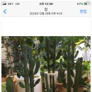 이웃꽃집 이미지