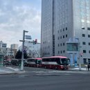 삿포로 비에이투어 여행한그릇 내돈내산 후기 (마이리얼트립 할인코드)