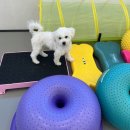 호텔대구 이미지