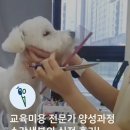 포포럽 | 교육미용 전문가 양성과정 수강생의 실전 후기!