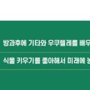 온세상건강약국 이미지