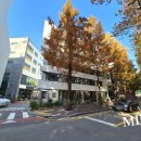 사무실용 건축물(양재동 5-3) | 양재동 사무실 임대 사옥 건물 양재천 힐링 공간