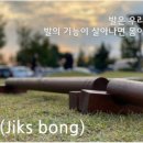 닥터리의백앤넥
