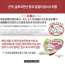 젤리트래블