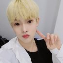 평티 이미지