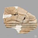 국립익산박물관 이미지