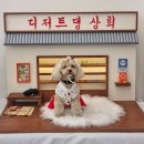 디저트댕 이미지