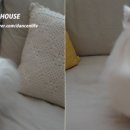 루미스타일