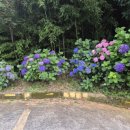 스위티모텔 이미지