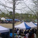 홍동초등학교 이미지