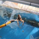 또와식당 이미지