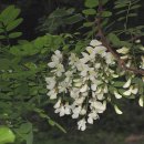 하소약수터 이미지