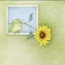 힐링플루트 이미지