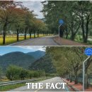 향로산로 더팩트