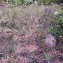 산의경로당 이미지