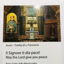 성프란치스꼬수녀원 이미지