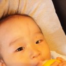 하대동224 이미지