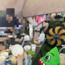 청도 물놀이 농촌체험카페 팜하리 팜프닉 이용후기 추가체험 후기