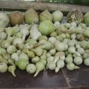 샘밭농장 이미지