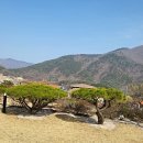 부경상회 네이버블로그