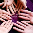 미드림 이미지